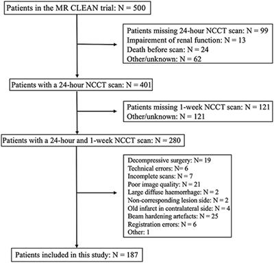 The Role of Edema in Subacute Lesion Progression After Treatment of Acute Ischemic Stroke